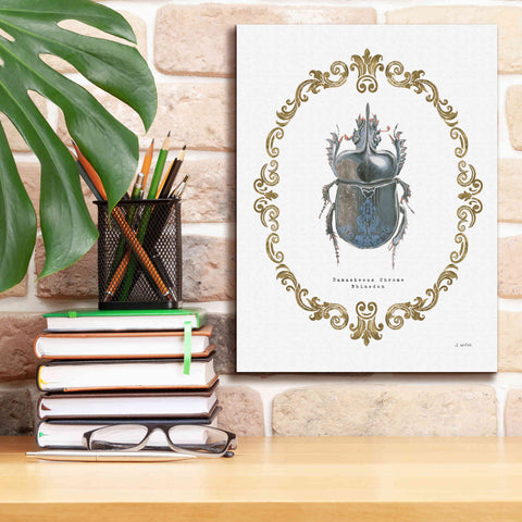 Image of 'Adorning Coleoptera IV' by James Wiens, Canvas Wall Art,12 x 16