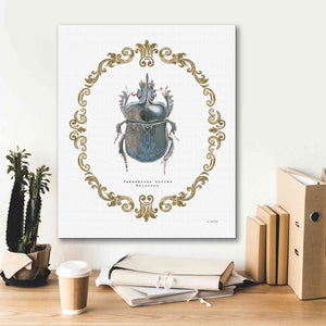 'Adorning Coleoptera IV' by James Wiens, Canvas Wall Art,20 x 24