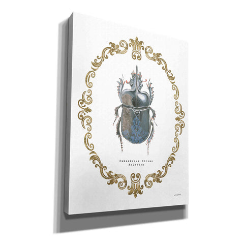 Image of 'Adorning Coleoptera IV' by James Wiens, Canvas Wall Art,12x16x1.1x0,20x24x1.1x0,26x30x1.74x0,40x54x1.74x0