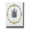 'Adorning Coleoptera IV' by James Wiens, Canvas Wall Art,12x16x1.1x0,20x24x1.1x0,26x30x1.74x0,40x54x1.74x0
