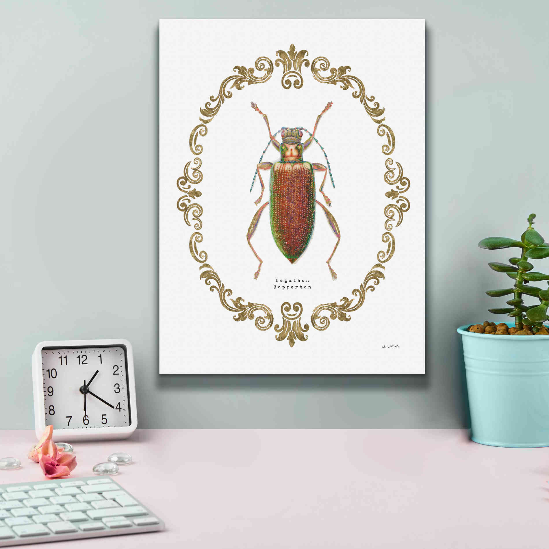 'Adorning Coleoptera VI' by James Wiens, Canvas Wall Art,12 x 16