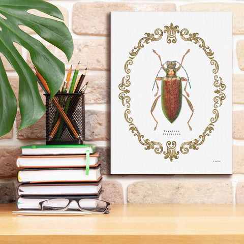 Image of 'Adorning Coleoptera VI' by James Wiens, Canvas Wall Art,12 x 16