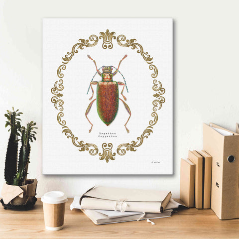 Image of 'Adorning Coleoptera VI' by James Wiens, Canvas Wall Art,20 x 24