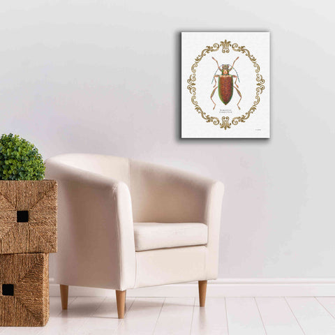 Image of 'Adorning Coleoptera VI' by James Wiens, Canvas Wall Art,20 x 24