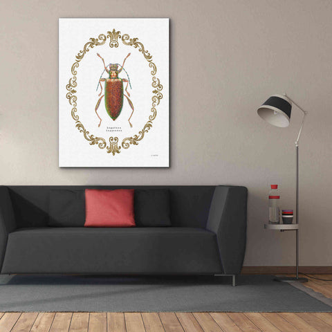 Image of 'Adorning Coleoptera VI' by James Wiens, Canvas Wall Art,40 x 54