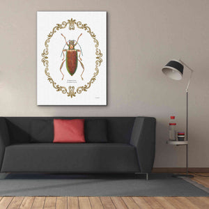 'Adorning Coleoptera VI' by James Wiens, Canvas Wall Art,40 x 54