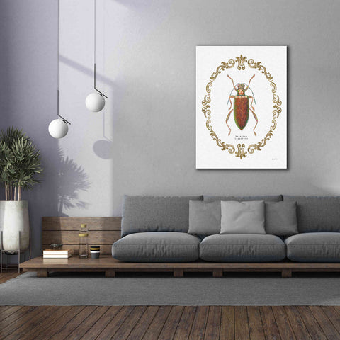 Image of 'Adorning Coleoptera VI' by James Wiens, Canvas Wall Art,40 x 54