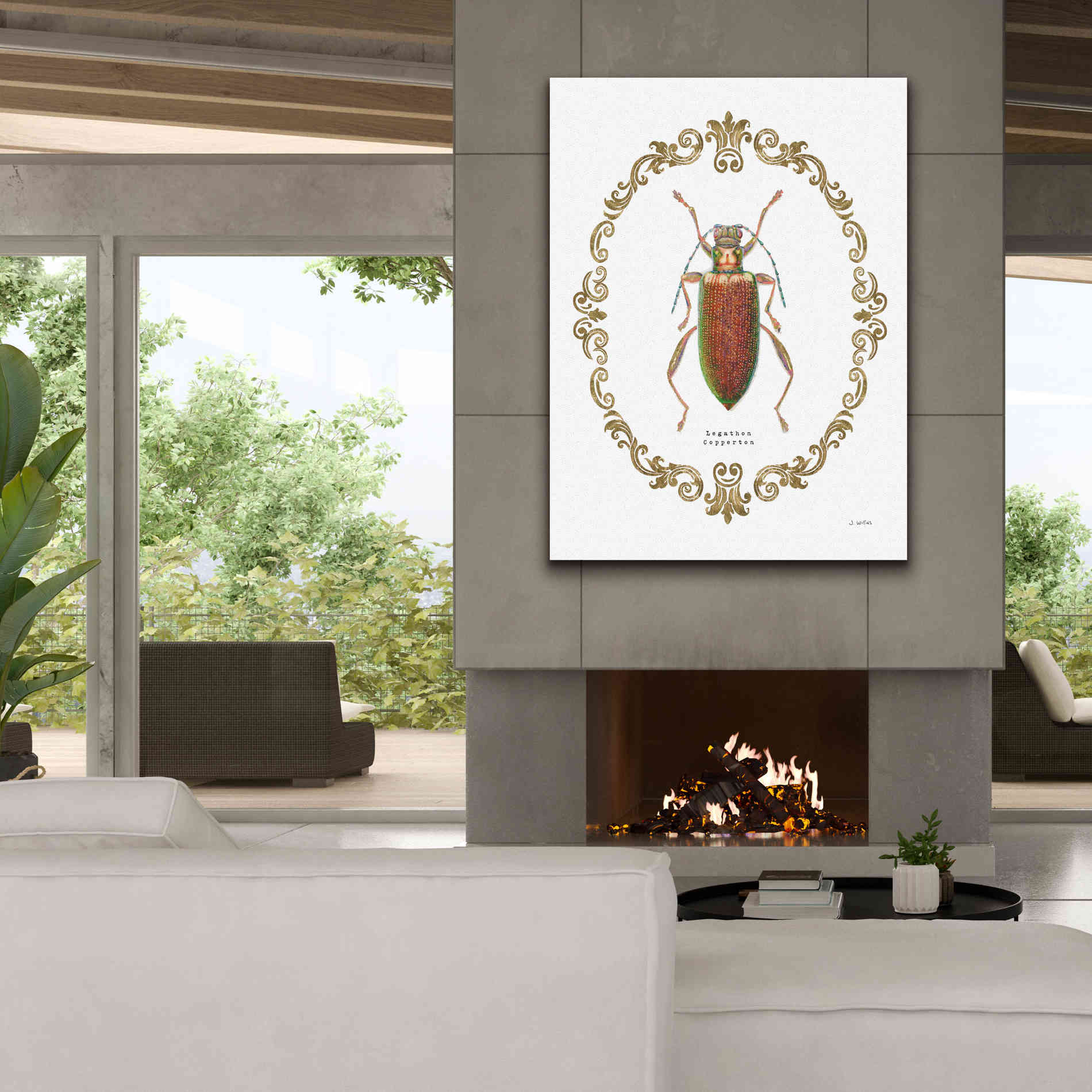 'Adorning Coleoptera VI' by James Wiens, Canvas Wall Art,40 x 54