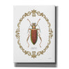 'Adorning Coleoptera VI' by James Wiens, Canvas Wall Art,12x16x1.1x0,20x24x1.1x0,26x30x1.74x0,40x54x1.74x0