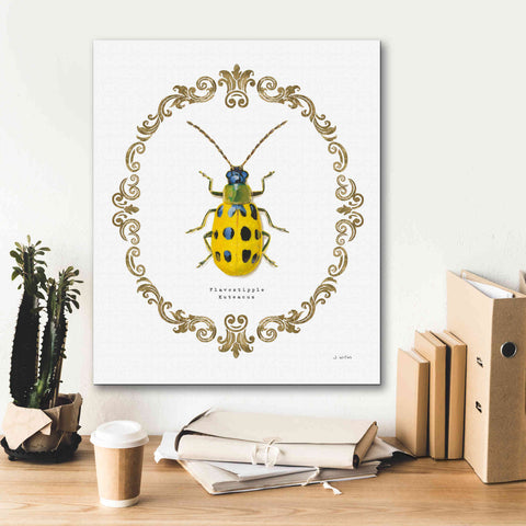 Image of 'Adorning Coleoptera VII' by James Wiens, Canvas Wall Art,20 x 24