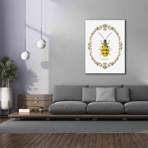 Image of 'Adorning Coleoptera VII' by James Wiens, Canvas Wall Art,40 x 54