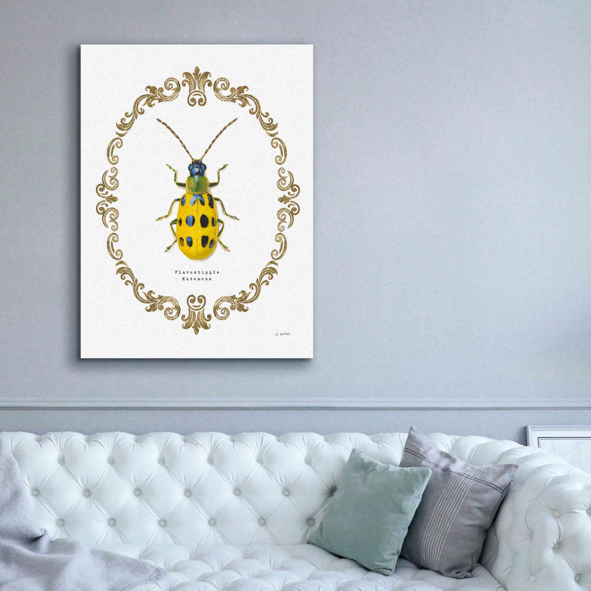 'Adorning Coleoptera VII' by James Wiens, Canvas Wall Art,40 x 54