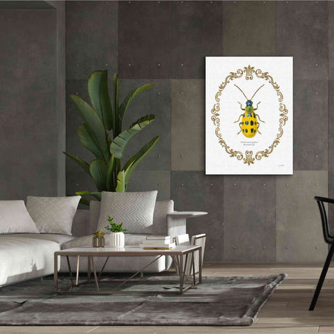 Image of 'Adorning Coleoptera VII' by James Wiens, Canvas Wall Art,40 x 54