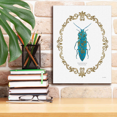 Image of 'Adorning Coleoptera VIII' by James Wiens, Canvas Wall Art,12 x 16