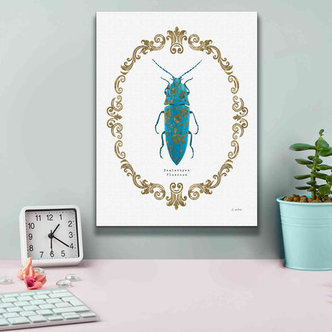 Image of 'Adorning Coleoptera VIII' by James Wiens, Canvas Wall Art,12 x 16