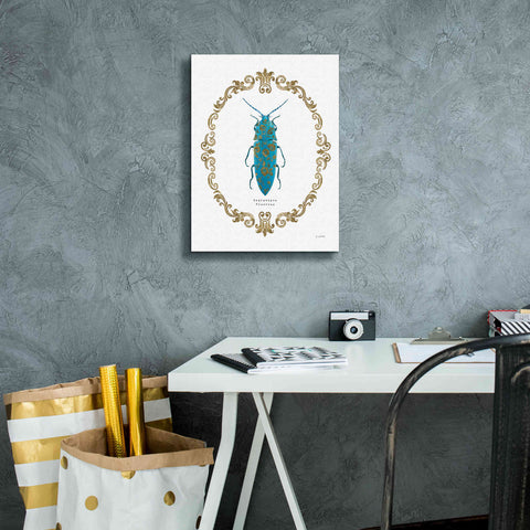 Image of 'Adorning Coleoptera VIII' by James Wiens, Canvas Wall Art,12 x 16