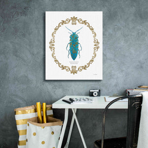 'Adorning Coleoptera VIII' by James Wiens, Canvas Wall Art,20 x 24