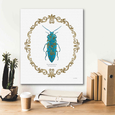 Image of 'Adorning Coleoptera VIII' by James Wiens, Canvas Wall Art,20 x 24