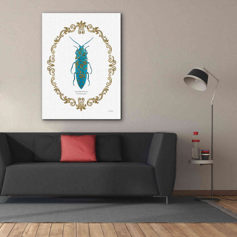 Image of 'Adorning Coleoptera VIII' by James Wiens, Canvas Wall Art,40 x 54