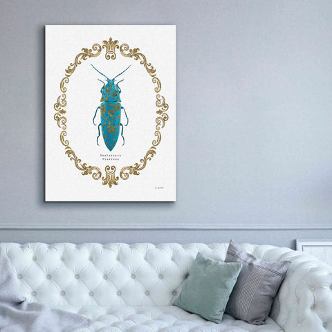 Image of 'Adorning Coleoptera VIII' by James Wiens, Canvas Wall Art,40 x 54