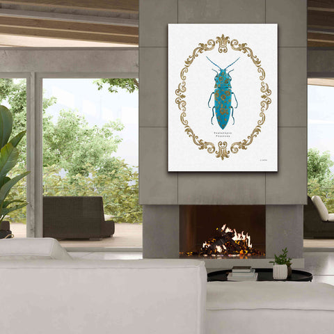 Image of 'Adorning Coleoptera VIII' by James Wiens, Canvas Wall Art,40 x 54
