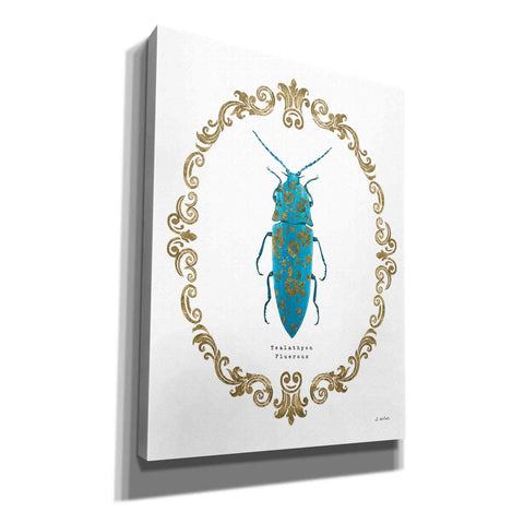 Image of 'Adorning Coleoptera VIII' by James Wiens, Canvas Wall Art,12x16x1.1x0,20x24x1.1x0,26x30x1.74x0,40x54x1.74x0