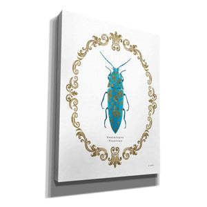 'Adorning Coleoptera VIII' by James Wiens, Canvas Wall Art,12x16x1.1x0,20x24x1.1x0,26x30x1.74x0,40x54x1.74x0