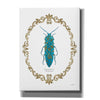 'Adorning Coleoptera VIII' by James Wiens, Canvas Wall Art,12x16x1.1x0,20x24x1.1x0,26x30x1.74x0,40x54x1.74x0