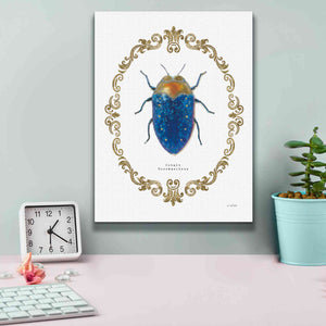'Adorning Coleoptera V' by James Wiens, Canvas Wall Art,12 x 16