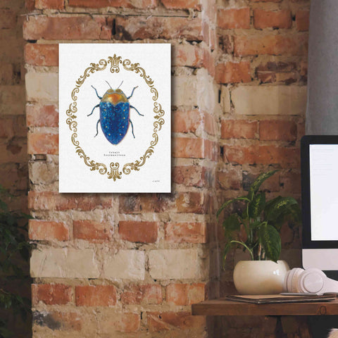 Image of 'Adorning Coleoptera V' by James Wiens, Canvas Wall Art,12 x 16