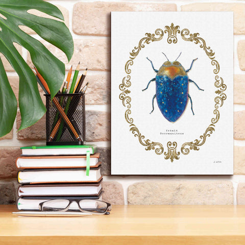 Image of 'Adorning Coleoptera V' by James Wiens, Canvas Wall Art,12 x 16