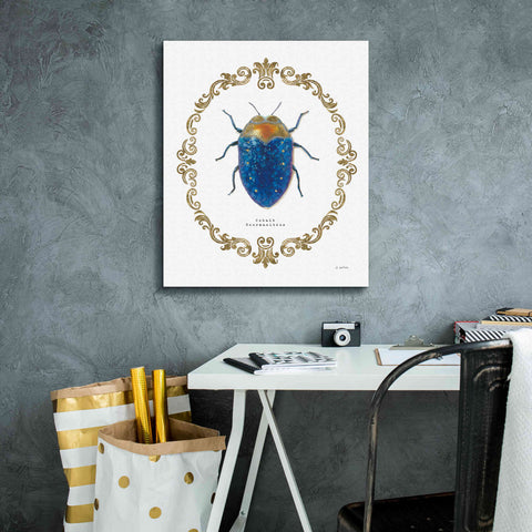 Image of 'Adorning Coleoptera V' by James Wiens, Canvas Wall Art,20 x 24