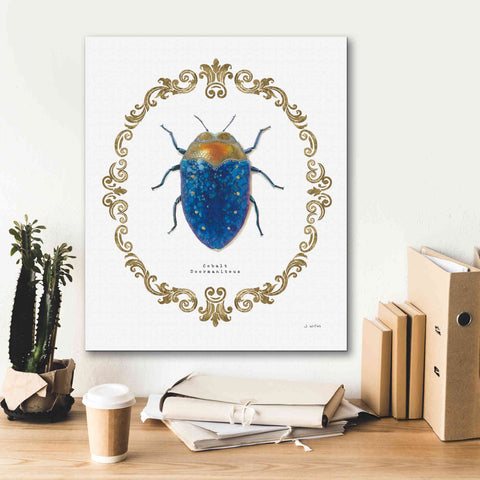 Image of 'Adorning Coleoptera V' by James Wiens, Canvas Wall Art,20 x 24