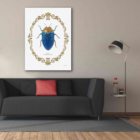 Image of 'Adorning Coleoptera V' by James Wiens, Canvas Wall Art,40 x 54