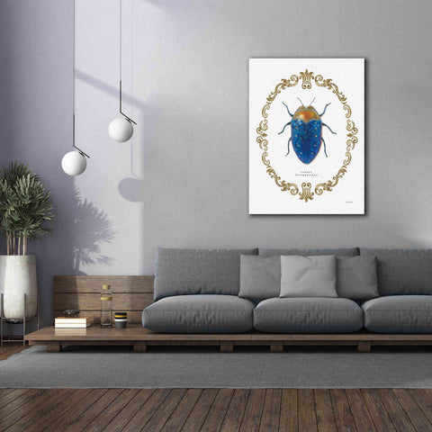 Image of 'Adorning Coleoptera V' by James Wiens, Canvas Wall Art,40 x 54
