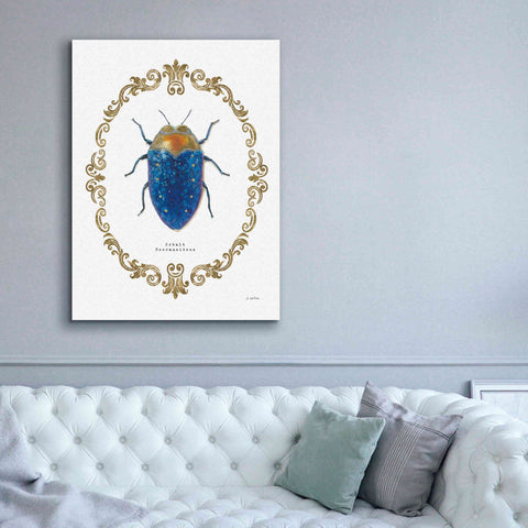 Image of 'Adorning Coleoptera V' by James Wiens, Canvas Wall Art,40 x 54