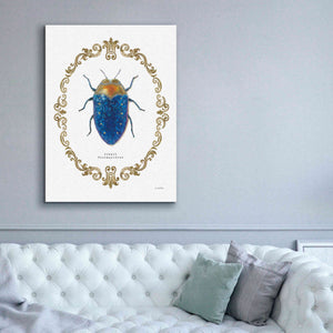 'Adorning Coleoptera V' by James Wiens, Canvas Wall Art,40 x 54