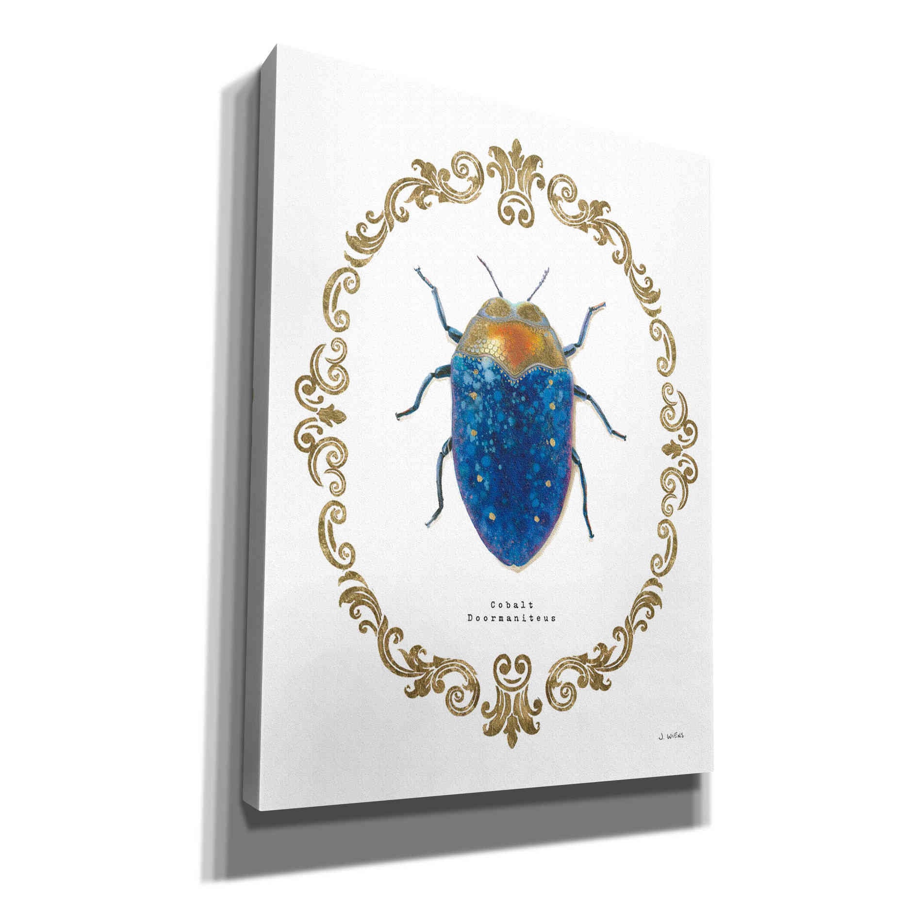 'Adorning Coleoptera V' by James Wiens, Canvas Wall Art,12x16x1.1x0,20x24x1.1x0,26x30x1.74x0,40x54x1.74x0