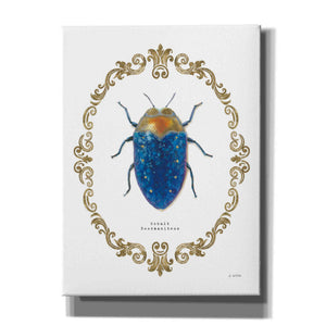 'Adorning Coleoptera V' by James Wiens, Canvas Wall Art,12x16x1.1x0,20x24x1.1x0,26x30x1.74x0,40x54x1.74x0