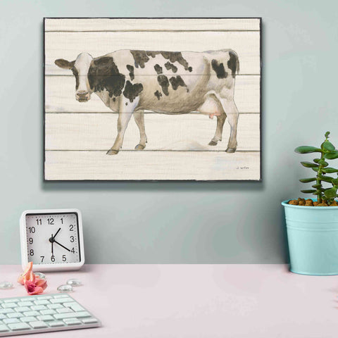 Image of 'Country Cow VI' by James Wiens, Canvas Wall Art,16 x 12