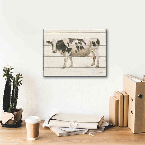 Image of 'Country Cow VI' by James Wiens, Canvas Wall Art,16 x 12