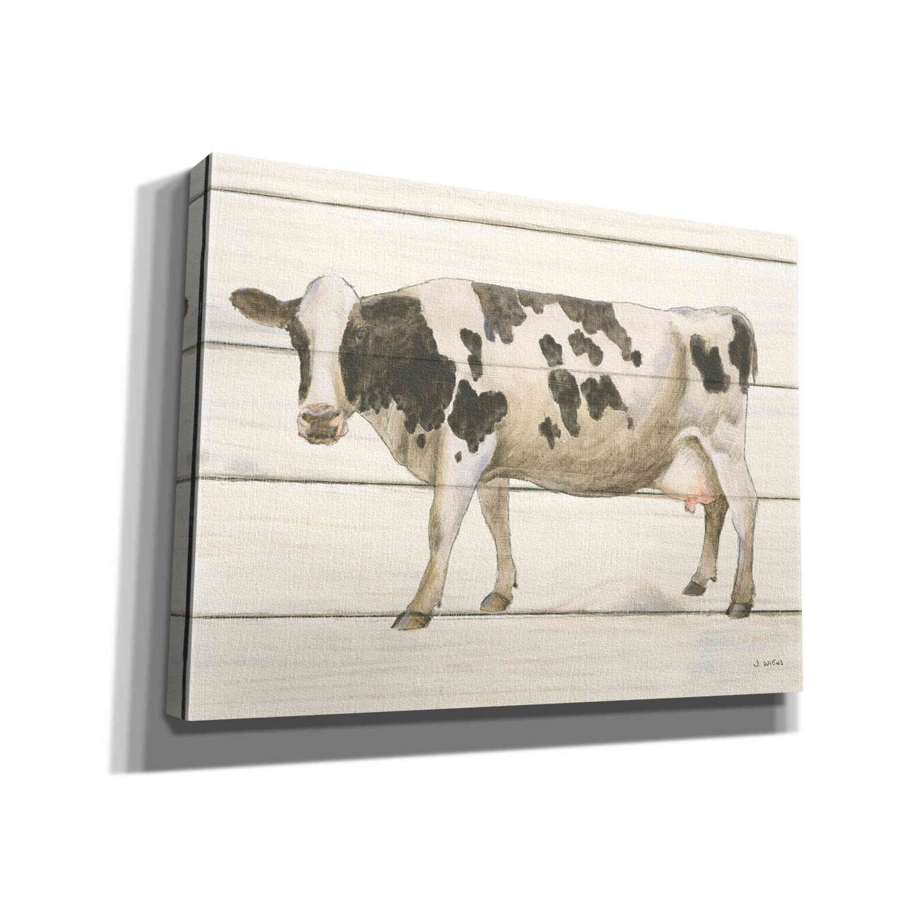 'Country Cow VI' by James Wiens, Canvas Wall Art,16x12x1.1x0,26x18x1.1x0,34x26x1.74x0,54x40x1.74x0