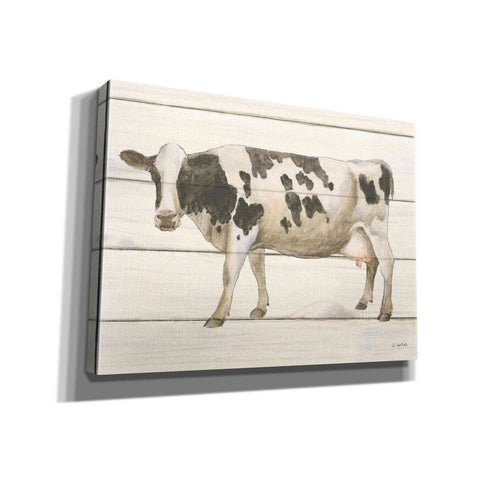 Image of 'Country Cow VI' by James Wiens, Canvas Wall Art,16x12x1.1x0,26x18x1.1x0,34x26x1.74x0,54x40x1.74x0