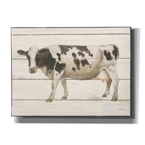Image of 'Country Cow VI' by James Wiens, Canvas Wall Art,16x12x1.1x0,26x18x1.1x0,34x26x1.74x0,54x40x1.74x0