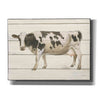'Country Cow VI' by James Wiens, Canvas Wall Art,16x12x1.1x0,26x18x1.1x0,34x26x1.74x0,54x40x1.74x0