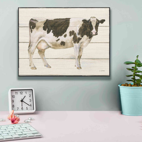 Image of 'Country Cow VII' by James Wiens, Canvas Wall Art,16 x 12