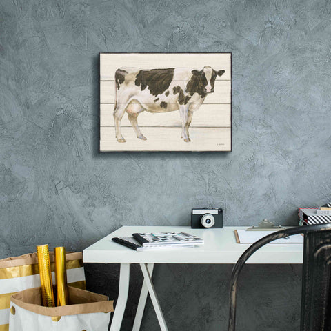 Image of 'Country Cow VII' by James Wiens, Canvas Wall Art,16 x 12