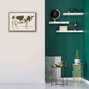 'Country Cow VII' by James Wiens, Canvas Wall Art,26 x 18