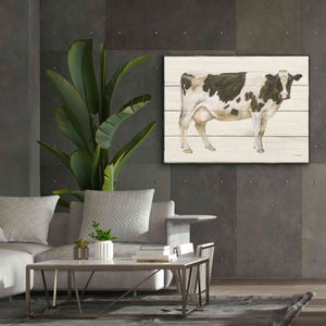 'Country Cow VII' by James Wiens, Canvas Wall Art,54 x 40