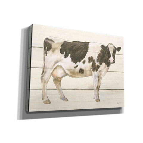 Image of 'Country Cow VII' by James Wiens, Canvas Wall Art,16x12x1.1x0,26x18x1.1x0,34x26x1.74x0,54x40x1.74x0